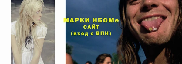 индика Алзамай