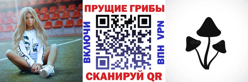 OMG сайт  Ковров  Галлюциногенные грибы мухоморы 