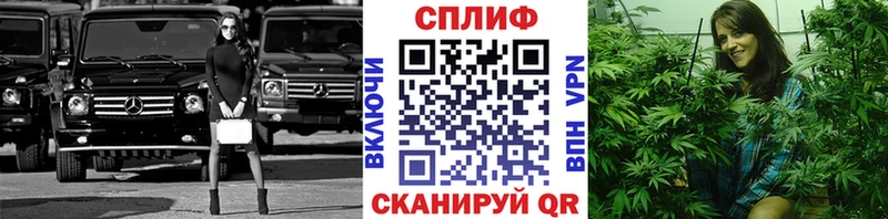 даркнет официальный сайт  Ковров  Каннабис тримм  как найти закладки 